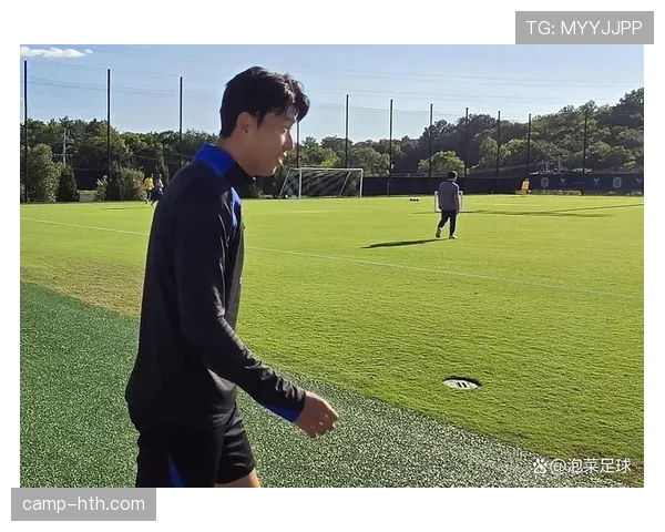 智利队定位球战术显成效,新体系助力球队竞争力全面提升 智利队定位球战术显成效,新体系助力球队竞争力全面提升